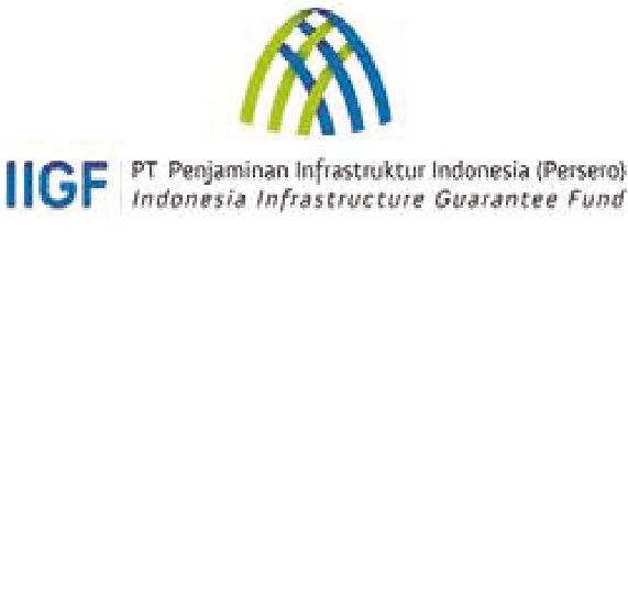 Logo IIFG