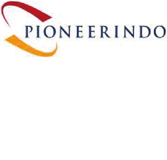 Logo Pioneerindo
